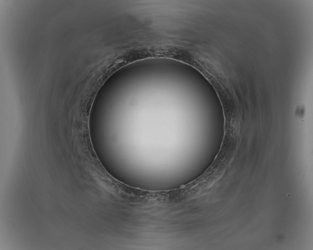 X0000091570865200708201143