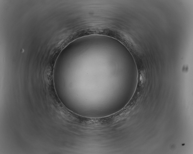 X0000091570867200708201143