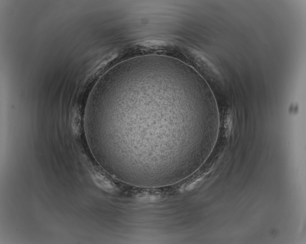 X0000091570868200708201143