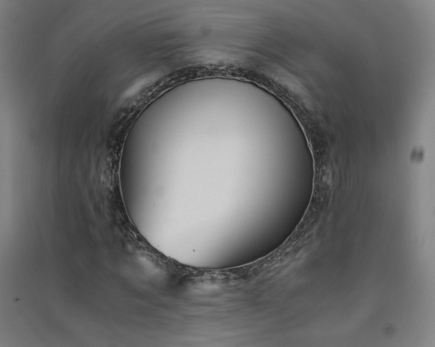X0000091570869200708201143