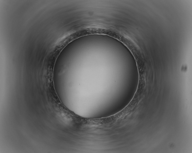 X0000091570870200708201143
