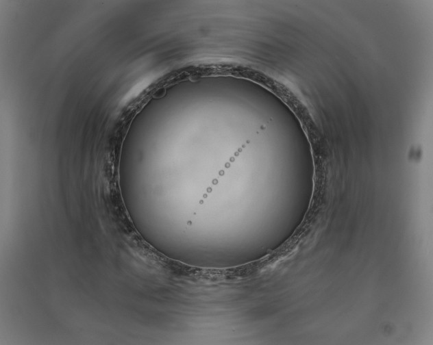 X0000091570871200708201143