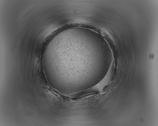 X0000091570872200708201143
