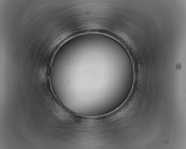 X0000091570873200708201143