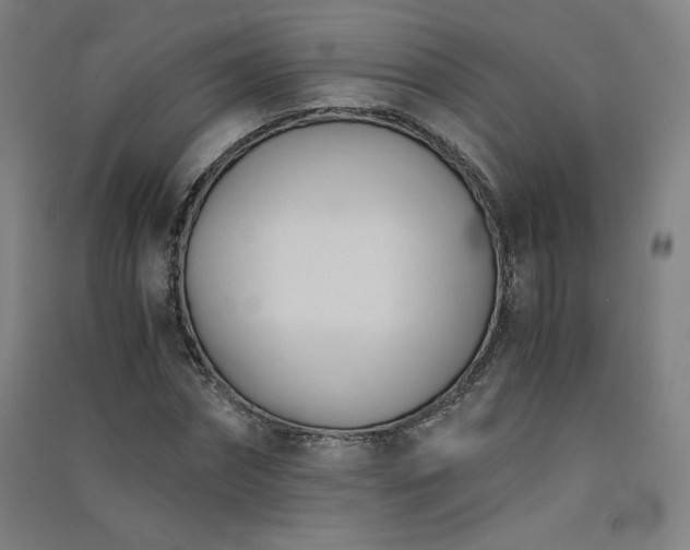 X0000091570874200708201143