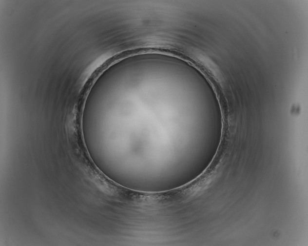 X0000091570875200708201143
