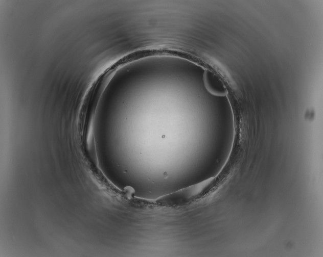 X0000091570876200708201143