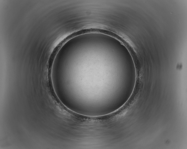X0000091570877200708201143