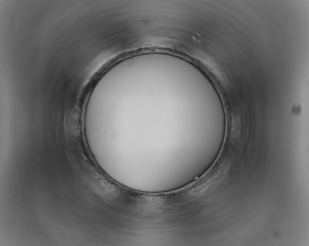 X0000091570878200708201143
