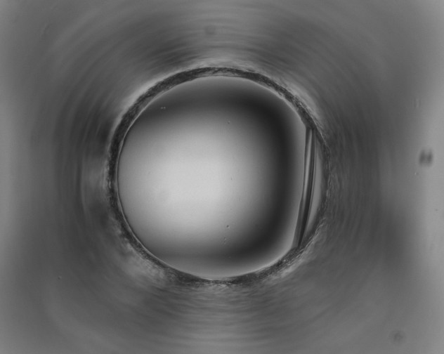 X0000091570880200708201143