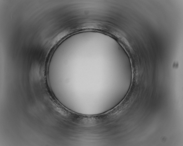 X0000091570882200708201143