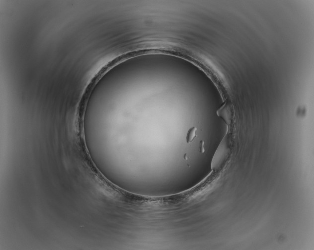 X0000091570883200708201143