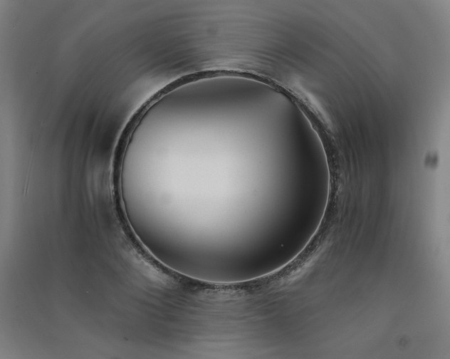 X0000091570884200708201143