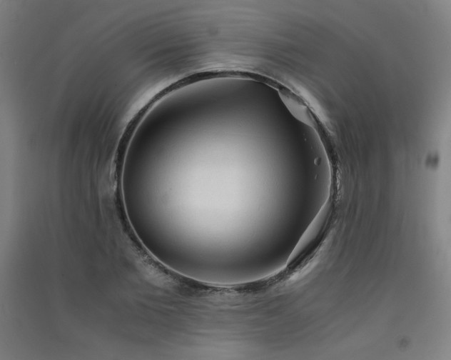 X0000091570885200708201143