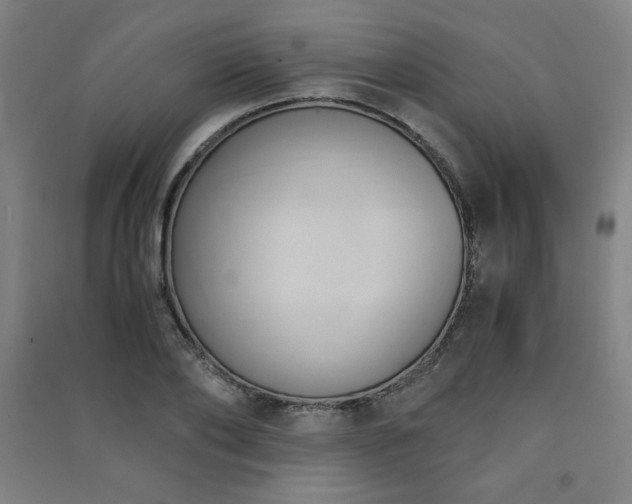 X0000091570886200708201143