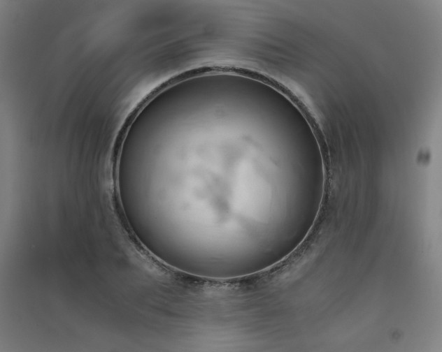 X0000091570887200708201143
