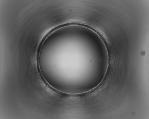 X0000091570888200708201143