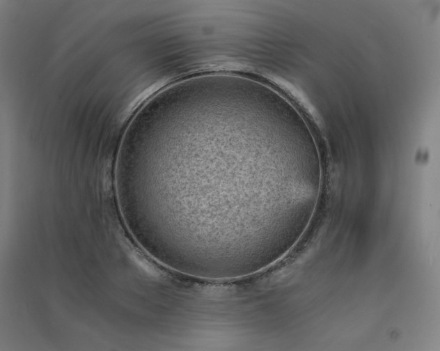 X0000091570889200708201143