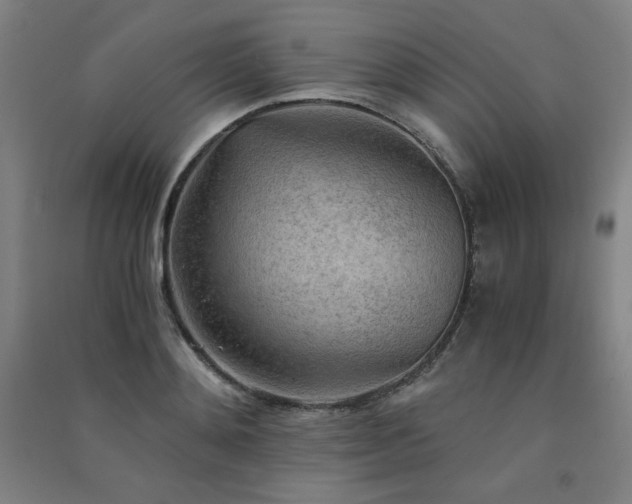 X0000091570892200708201143