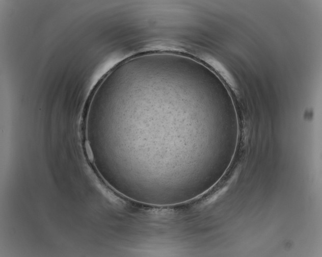 X0000091570893200708201143