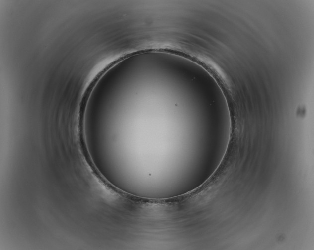 X0000091570894200708201143
