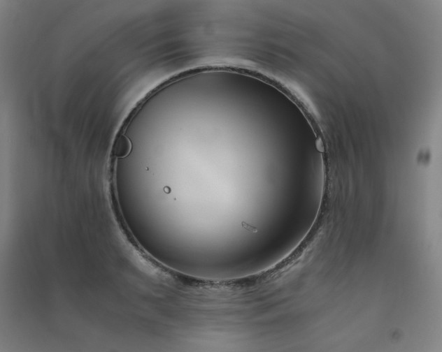 X0000091570895200708201143