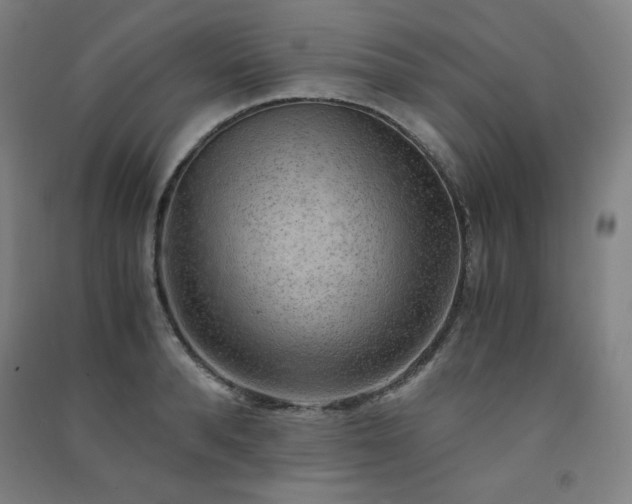 X0000091570896200708201143