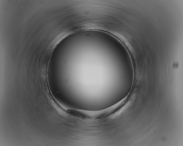 X0000091570897200708201143