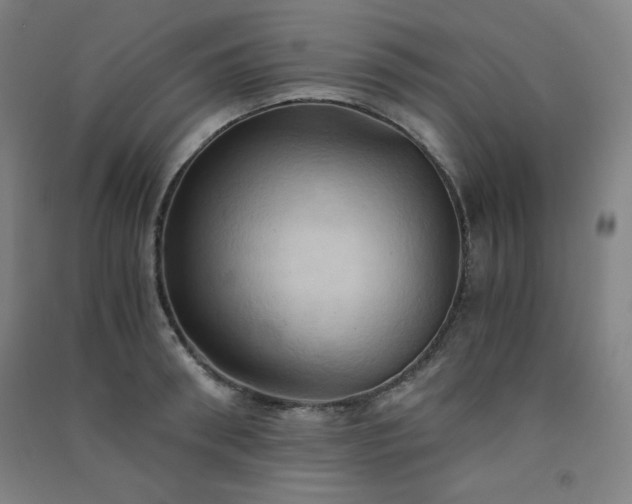 X0000091570898200708201143