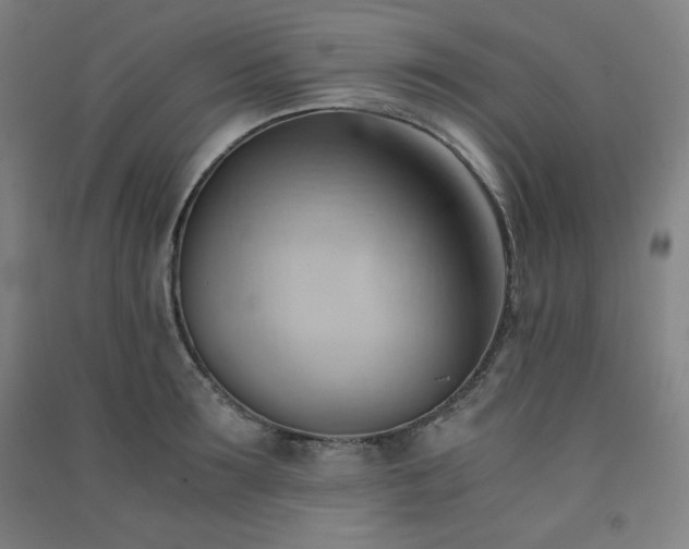 X0000091570899200708201143