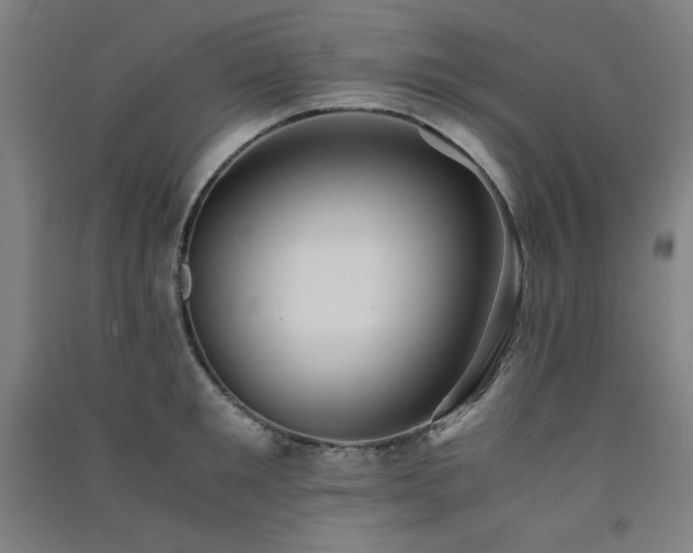 X0000091570901200708201143