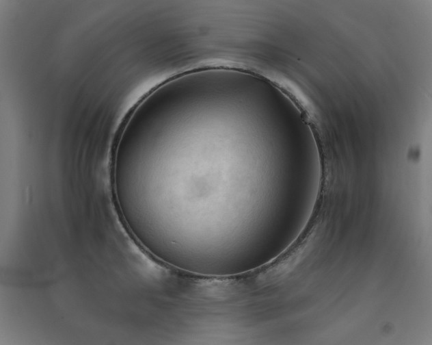 X0000091570902200708201143