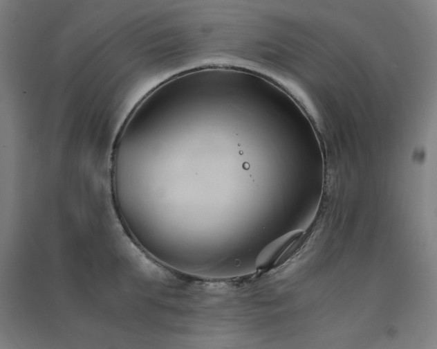 X0000091570903200708201143