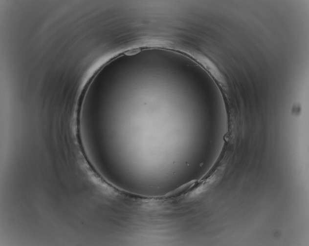 X0000091570904200708201143