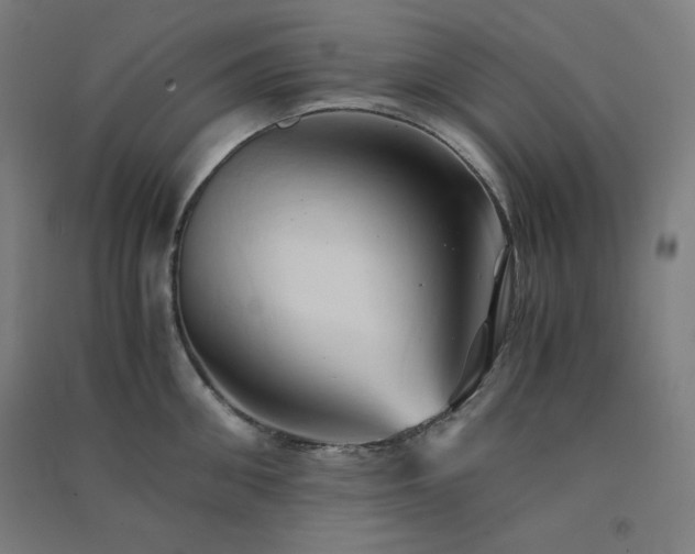 X0000091570906200708201143