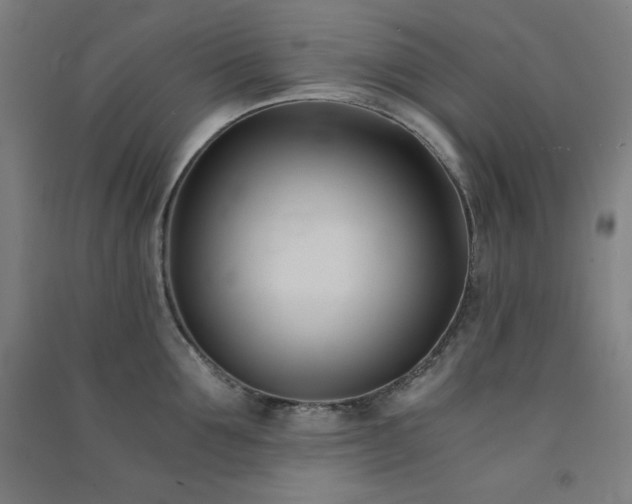 X0000091570907200708201142