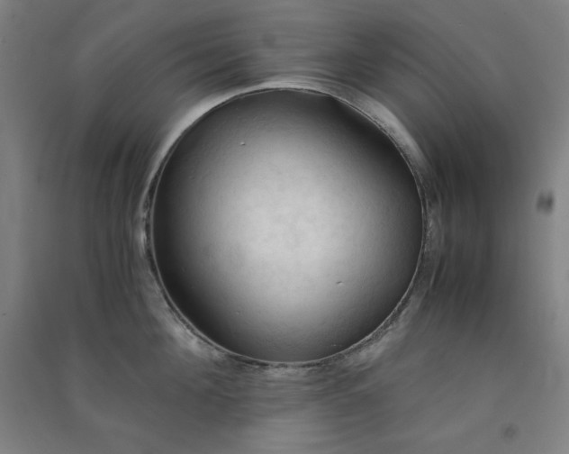 X0000091570908200708201142