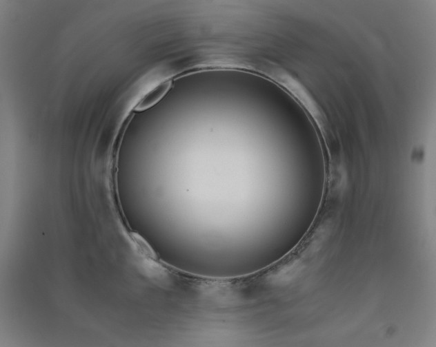 X0000091570909200708201142