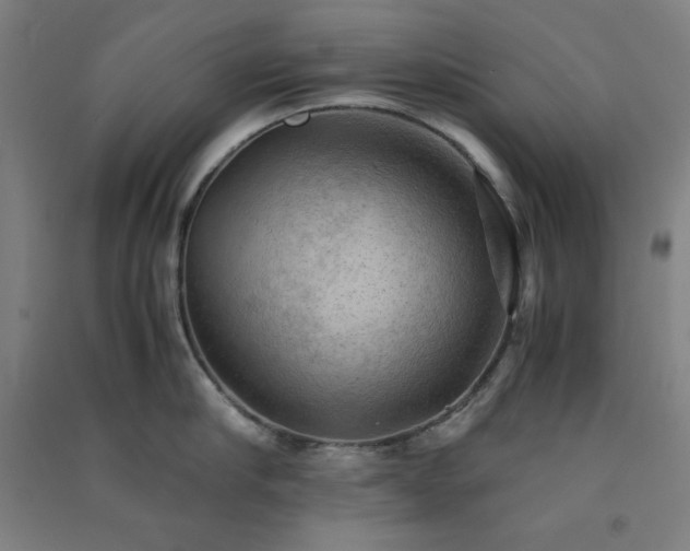 X0000091570910200708201142