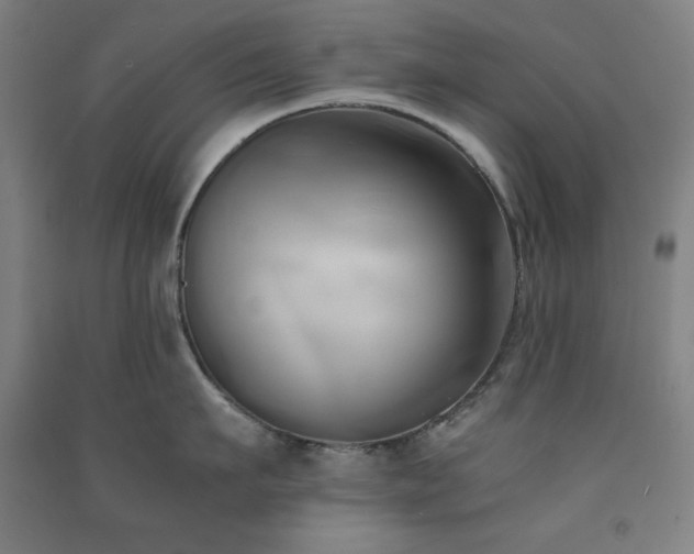 X0000091570911200708201142