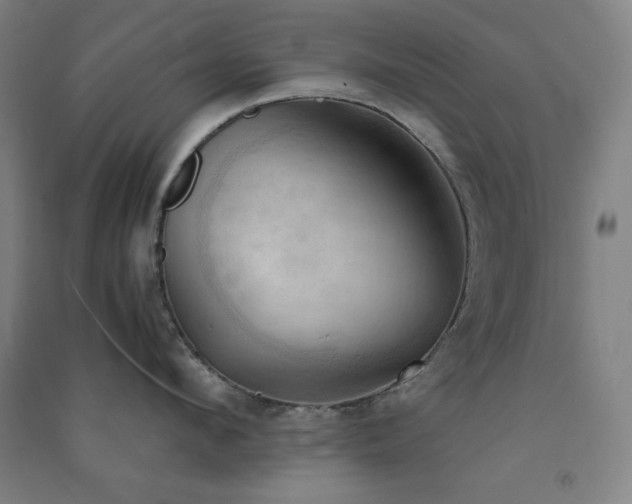 X0000091570912200708201142