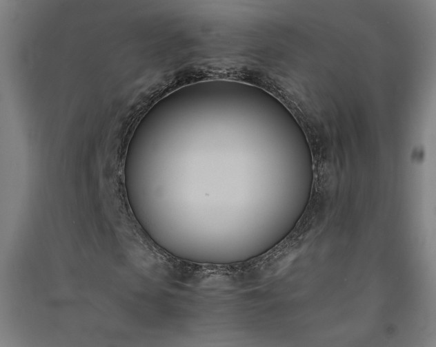 X0000091570913200708201142