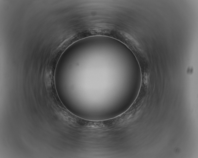 X0000091570915200708201142