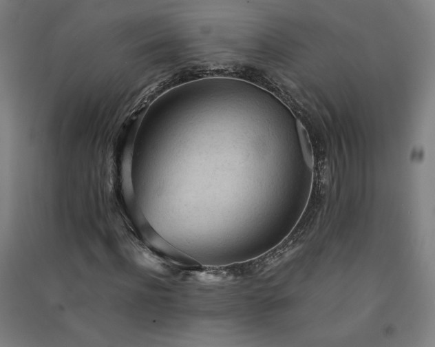 X0000091570916200708201142