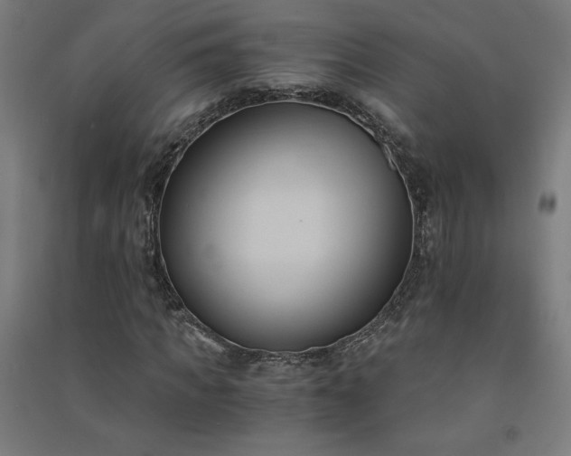 X0000091570917200708201142