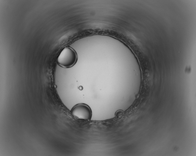 X0000091570918200708201142