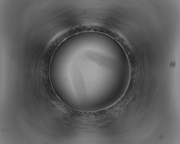 X0000091570919200708201142