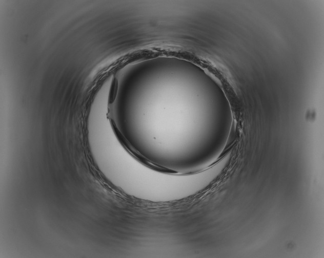 X0000091570920200708201142