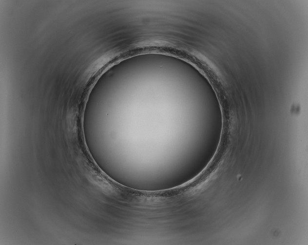 X0000091570921200708201142