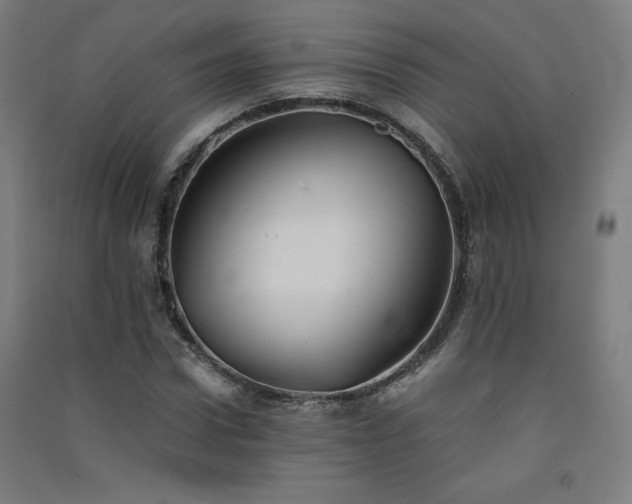 X0000091570922200708201142